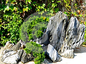 Rockery landscape