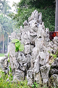 Rockery stone