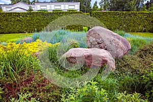 Rockery with two large natural stones among green plants.