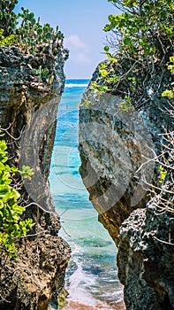 Rockes covered by Cactus on Geger Beach in Nusa Dua Bali photo