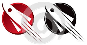 Rocket logo photo