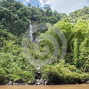 Rockface, Rainforest and Waterfall
