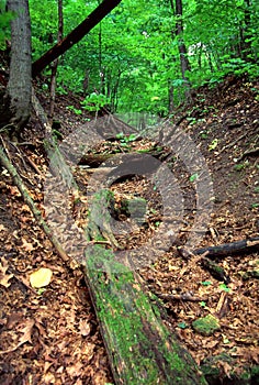 Rockford Rotary Forest Preserve Illinois