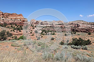 Rockformation in Capitol Reef National Park. Utah. United States photo