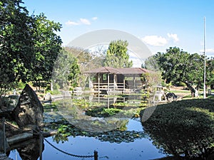 Rockhampton Koala and nature park , and city