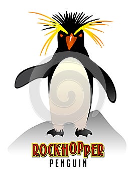 Rockhopper Penguin illustration photo