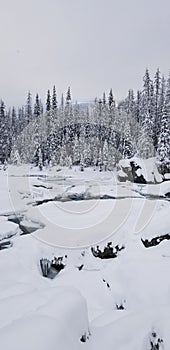 rockie mountain winter photo