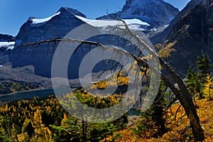 Rockies in the Fall