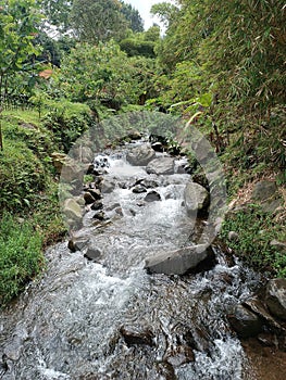 Rockin beauty river in puncak bogor