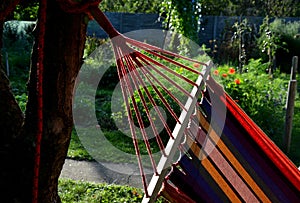 Rocking chair, hammock with wooden support among the trees in the garden. view of naked hairy white legs of a rocking man, striped