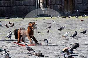 Rocking horse and pigeons in the square of San Francisco Church in Quito