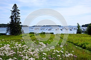 Rockland maine harbor