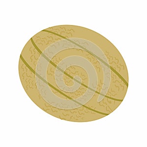 Rockmelon icon vector image. photo
