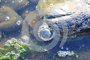Rockpool Bubbles