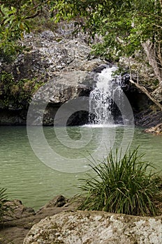 Rockpool at Kondalilla Falls, Sunshine Coast hinterland, Austral