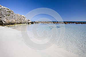 Rockpool at stokes bay, Kangaroo Island photo