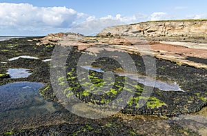 Rockpools and seaweed at Middle Hilbre Island, Wirral