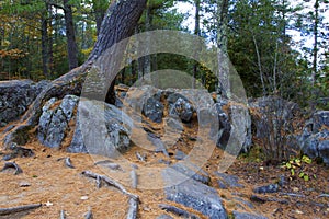 Rocks above Dave`s Falls  836366