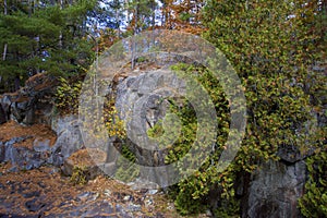 Rocks above Dave`s Falls  836367