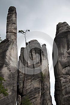 Rocks in Adrspach photo