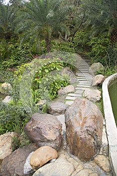 Rocks, alley arranged in the park