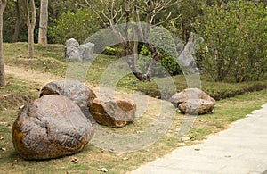 Rocks ,alley and plants arranged in spring park background