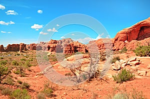 Rocks in Arches National Park, Utah, USA