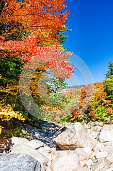 Rocks around Swift River during foliage season, New Hampshire