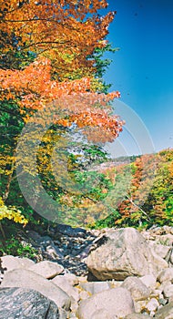 Rocks around Swift River during foliage season, New Hampshire