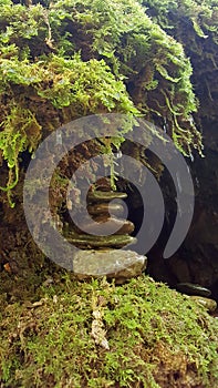 Rocks in balance surrounded by moss