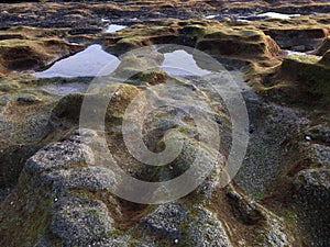 rocks on the beach