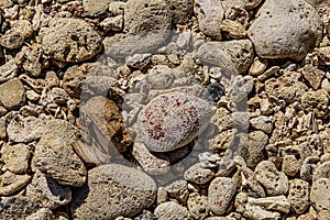 Rocks on the beach in Aruba