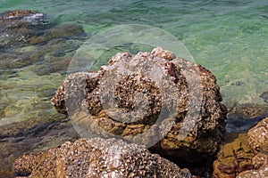 Rocks on the beach of Koh Larn