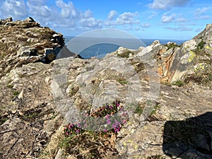 Rocks on the beach of Lynton & Lynmouth (Little Switzerland) civil parishes in England