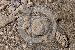 The rocks on the beach at the Natural Pool
