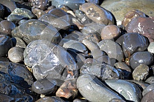 Rocks on beach