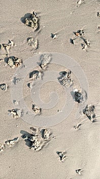 Rocks on the beach sand for wallpaper