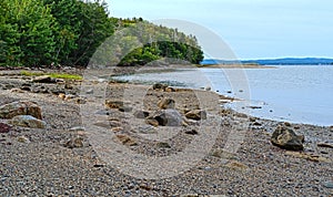 Rocks on the beach of Sears Island in Maine photo