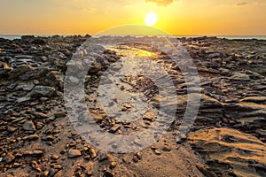 Rocks and beach uncovered in low tide with boats