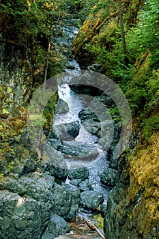 Rocks being carved by the river - Englishman river falls, Vancouver Island, BC