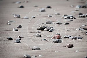 Rocks on black sand beach