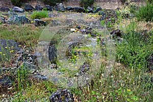 Rocks botanical garden, Siena, Tuscany, Italy