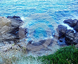 Rocks and bushes by the wavy sea