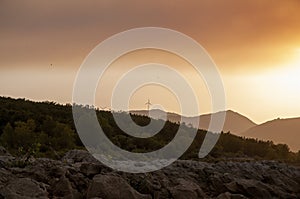 Rocks and bushes with wind turbines in background