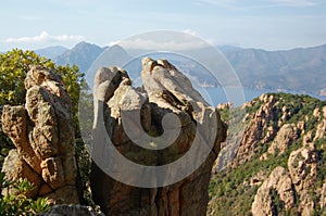 Rocks of Calanche de Piana in Corsica