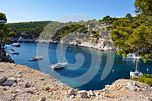 Rocks of the Calanques