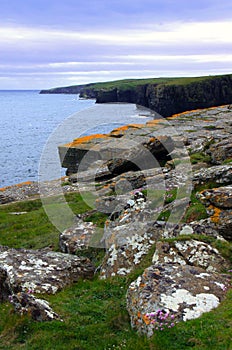 Rocks and cliffs, Caithness, North Scotland