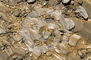 Rocks and cobbles on the river bed