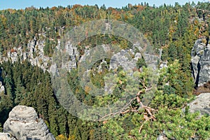 Rocks and coniferous forest in autumn in Germany