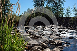 Rocks in country creek